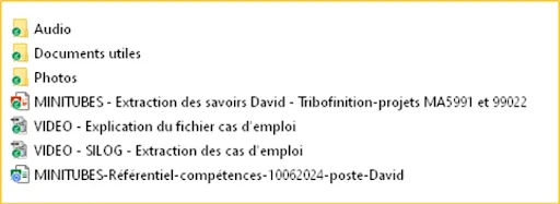 Risques industriels - Minitubes – Sécuriser une expertise critique en 1 mois avant un double départ